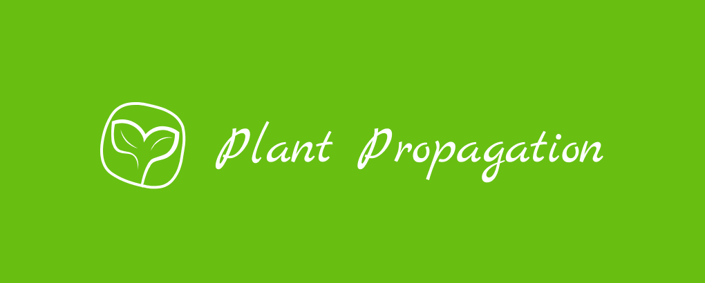 Plantpropagation.com