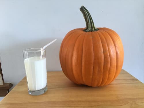 How long does it take for a pumpkin to grow?