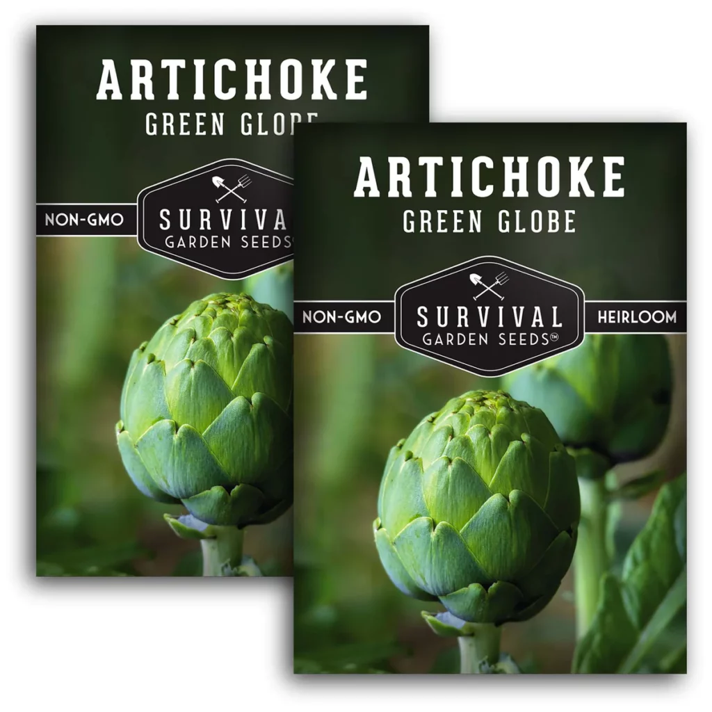 Growing Artichokes from Seed
