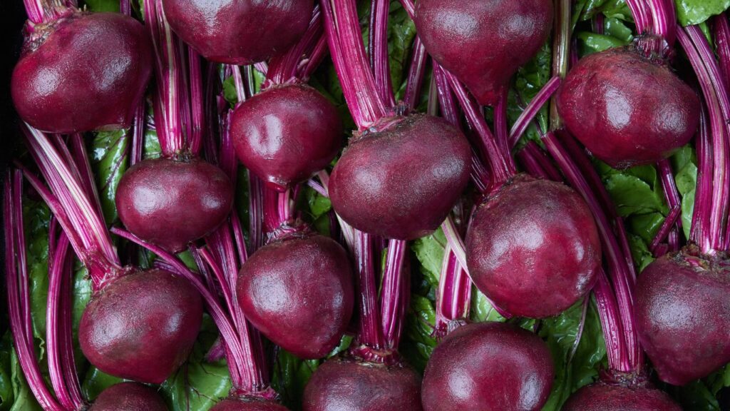 how to grow big red beets