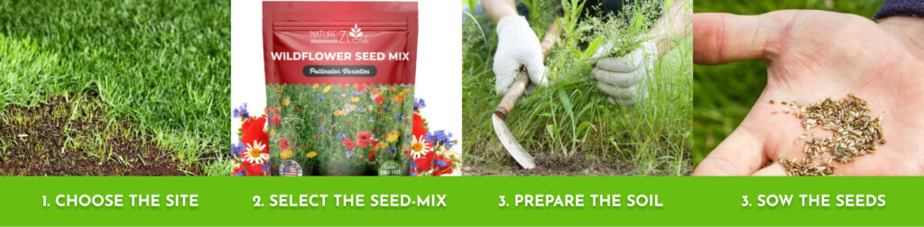 How to Plant Wildflower Seeds: A Step-by-Step Guide to Blooming Beauty