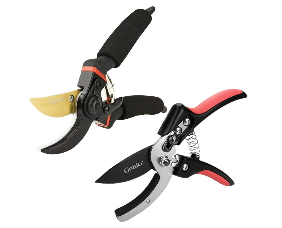 Pruning shears to prune your Sage