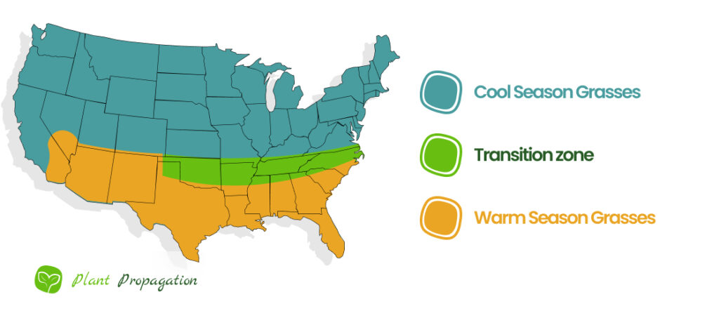 The 3 climate zones for growing grass in the United States: cool-season, transition zone and warm-season
