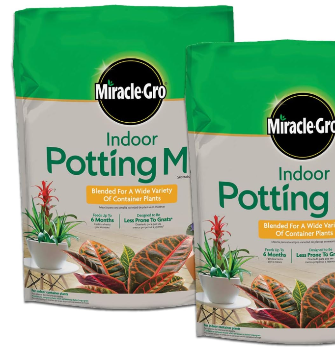 Perfect potting mix for Philodendrons
