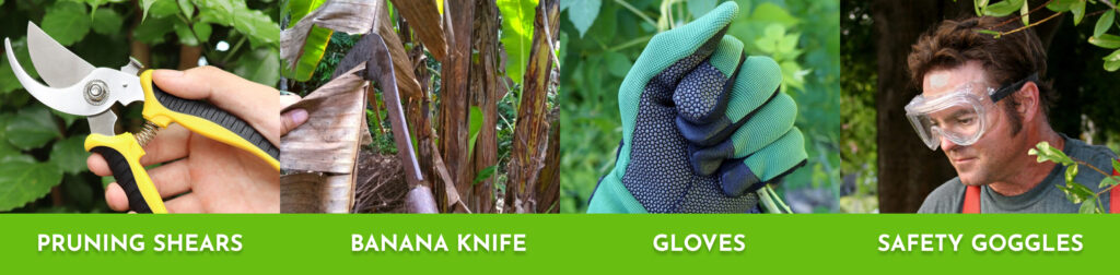 Tools you need for Pruning Banana Trees