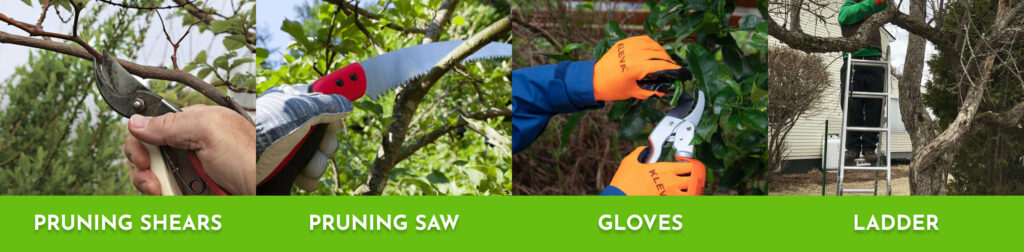 Tools-you-need-for-pruning-Wheeping-Cherry-Trees