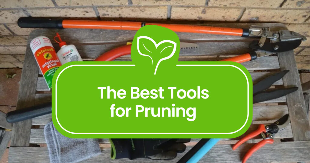 Best Pruning Tools for Plants, Bushes, and Trees