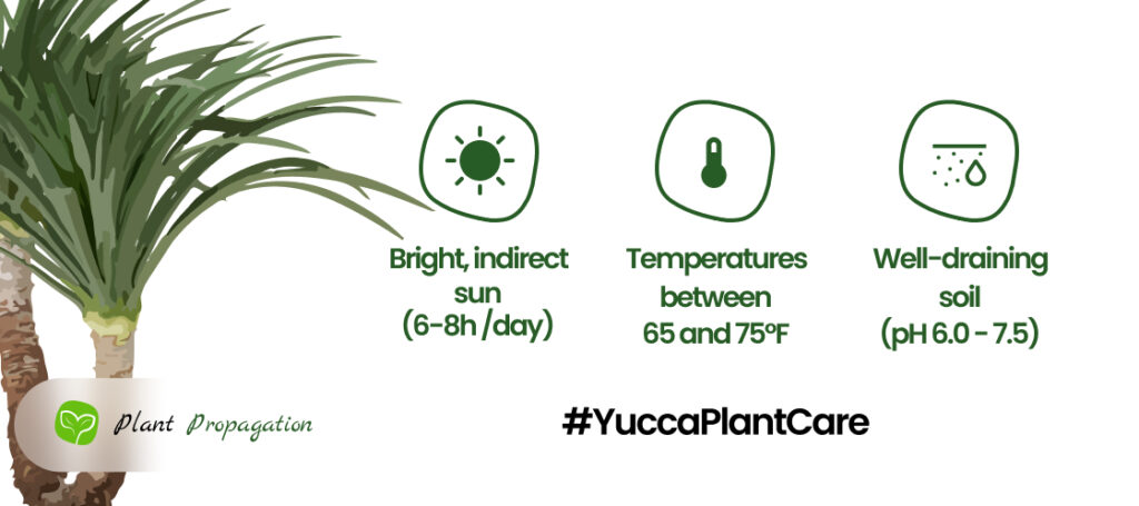How to Prune a Yucca Plant for Optimal Growth