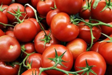 How long do tomatoes take to grow
