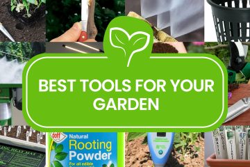Plant-propagation-equipment_-16-necessary-and-nice-to-have-gardening-tools-2