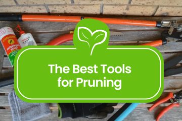 Pruning-Tools