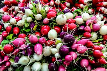 how to grow radishes